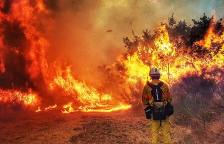 Лісові пожежі нагрівають планету більше, ніж вважалося раніше — дослідження