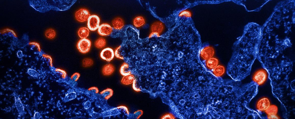 Дослідники виявили генетичний варіант, що обмежує розмноження ВІЛ