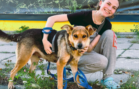 «Ми не про жалість, а про допомогу у комфорті» — як працює поки єдиний в Україні центр адопції тварин Patron Pet Center (ФОТО)