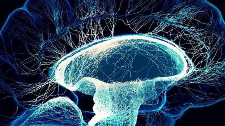 Нейробіологи відтворили пісню Pink Floyd за сигналами мозку