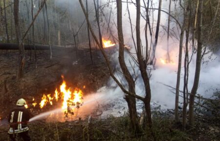 На Івано-Франківщині ліквідували пожежу, що сталася внаслідок пориву нафтопроводу