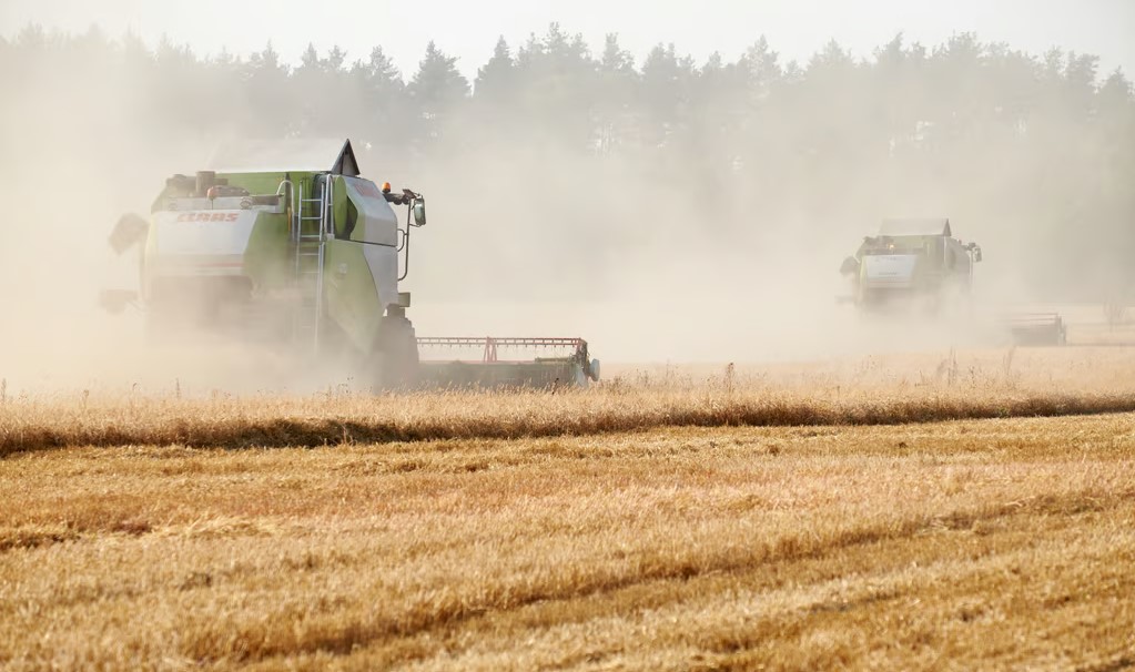 Україна подасть до суду на Польщу, Угорщину та Словаччину через продовження заборони на імпорт зерна — Качка