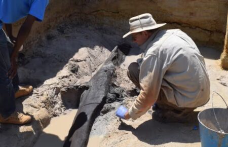 Британські археологи знайшли в Африці залишки найстарішої дерев'яної споруди