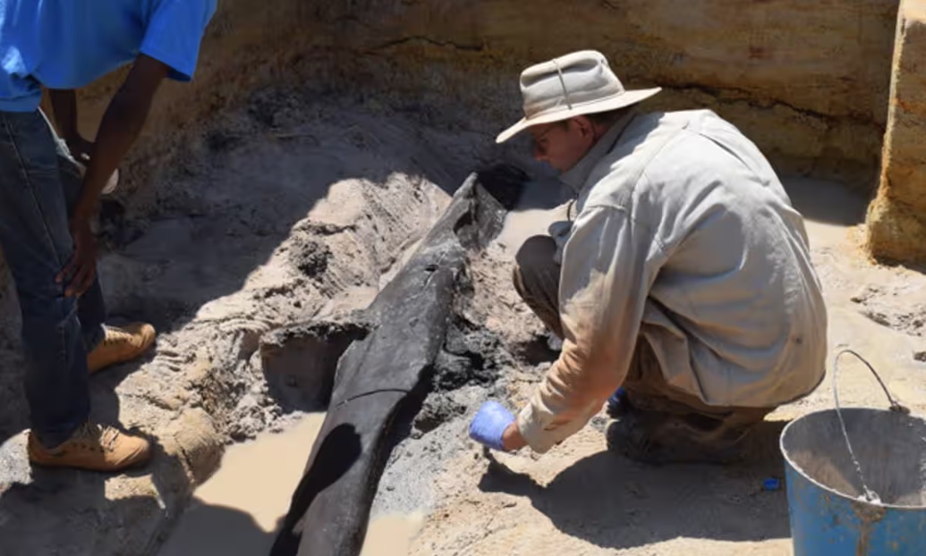 Британські археологи знайшли в Африці залишки найстарішої дерев'яної споруди