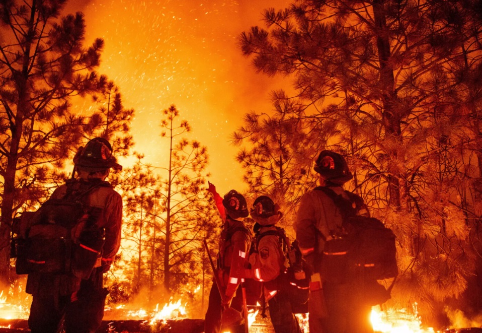 Каліфорнійські пожежники використовують штучний інтелект для боротьби з лісовими пожежами