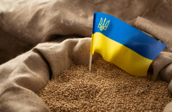 Дії Польщі, Угорщини та Словаччини — це «бунт на кораблі»: Іван Ус про заборону експорту українського зерна Дії Польщі, Угорщини та Словаччини — це «бунт на кораблі»: Іван Ус про заборону експорту українського зерна
