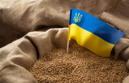 Дії Польщі, Угорщини та Словаччини — це «бунт на кораблі»: Іван Ус про заборону експорту українського зерна