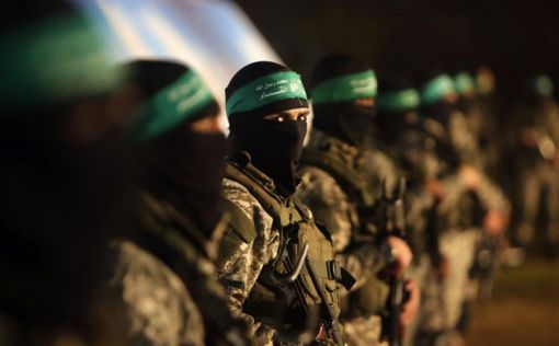 «Они стремятся к такой дестабилизации, которая не влияет на них самих» — востоковед о связанных с ХАМАСом странах