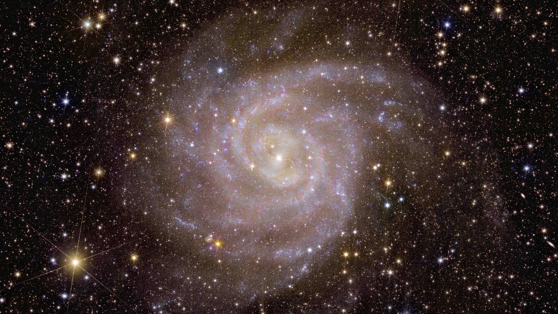 Космічний телескоп «Евклід» показав «Приховану галактику» за 11 мільйонів світлових років від Землі
