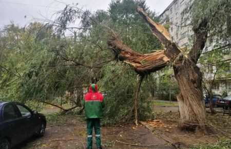 В Одеському регіоні кожен дощ спричиняє потоп, а кожен вітер — деревопад — кореспондентка
