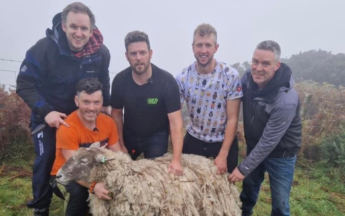 В Шотландии спасли «самую одинокую овцу Британии»