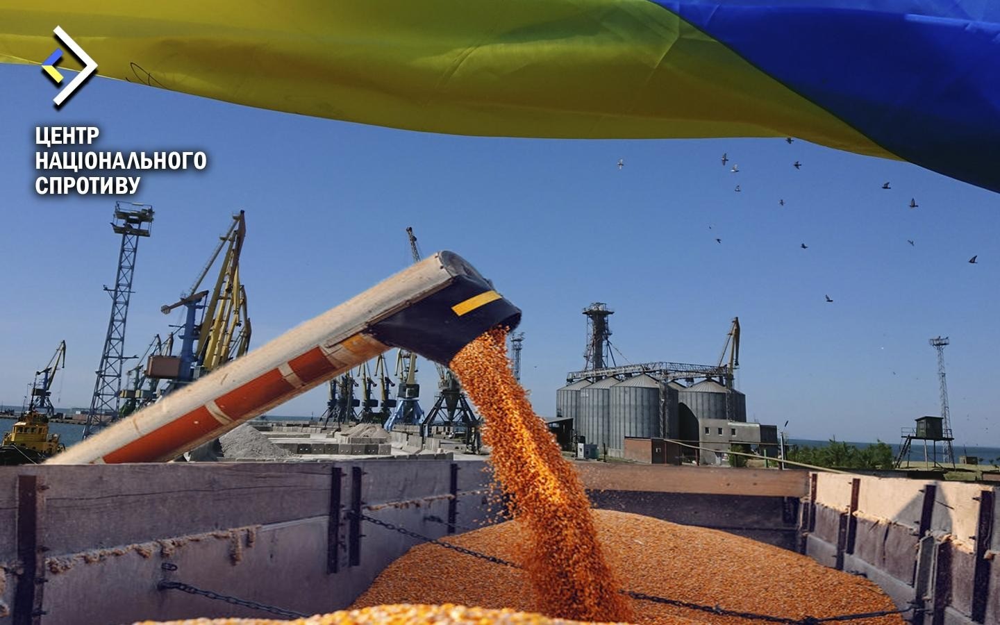 Росіяни вивозять зерно із захоплених територій — Центр нацспротиву