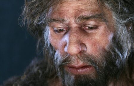 Люди успадкували «ген жайворонка» від неандертальців — дослідження