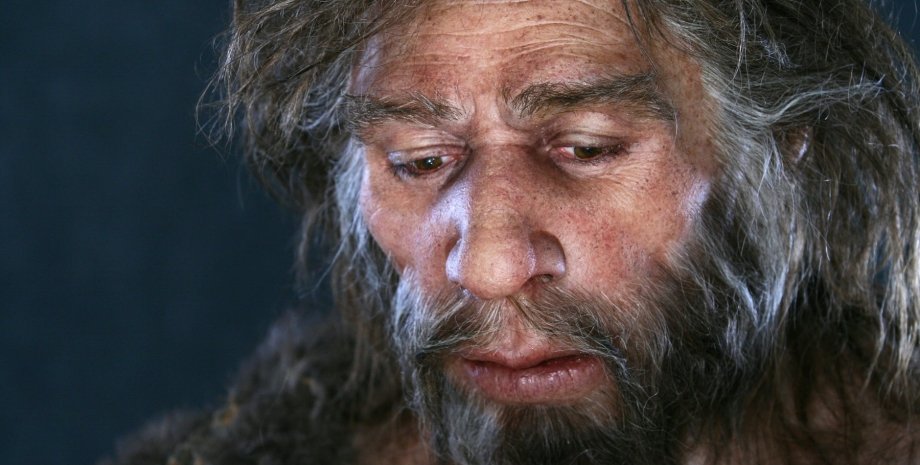 Люди успадкували «ген жайворонка» від неандертальців — дослідження