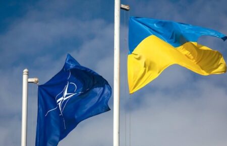 Політичним рішенням на саміті НАТО має бути запрошення України до Альянсу — Рейтерович