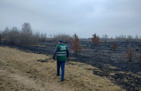 Пожежа у заказнику на Осокорках: екоінспектори оцінили збитки, завдані довкіллю (ФОТО)