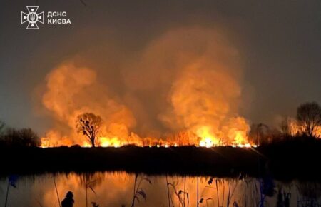 Масштабна пожежа на Осокорках у Києві: чому активісти говорять про підпал і що каже забудовник (ВІДЕО)