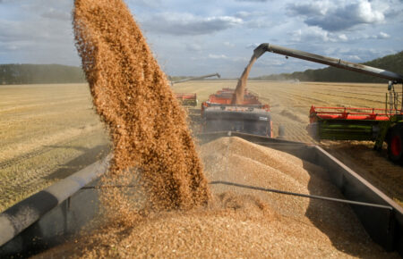 Чи погодиться ЄС накласти санкції на російське зерно: аналізує Іван Ус