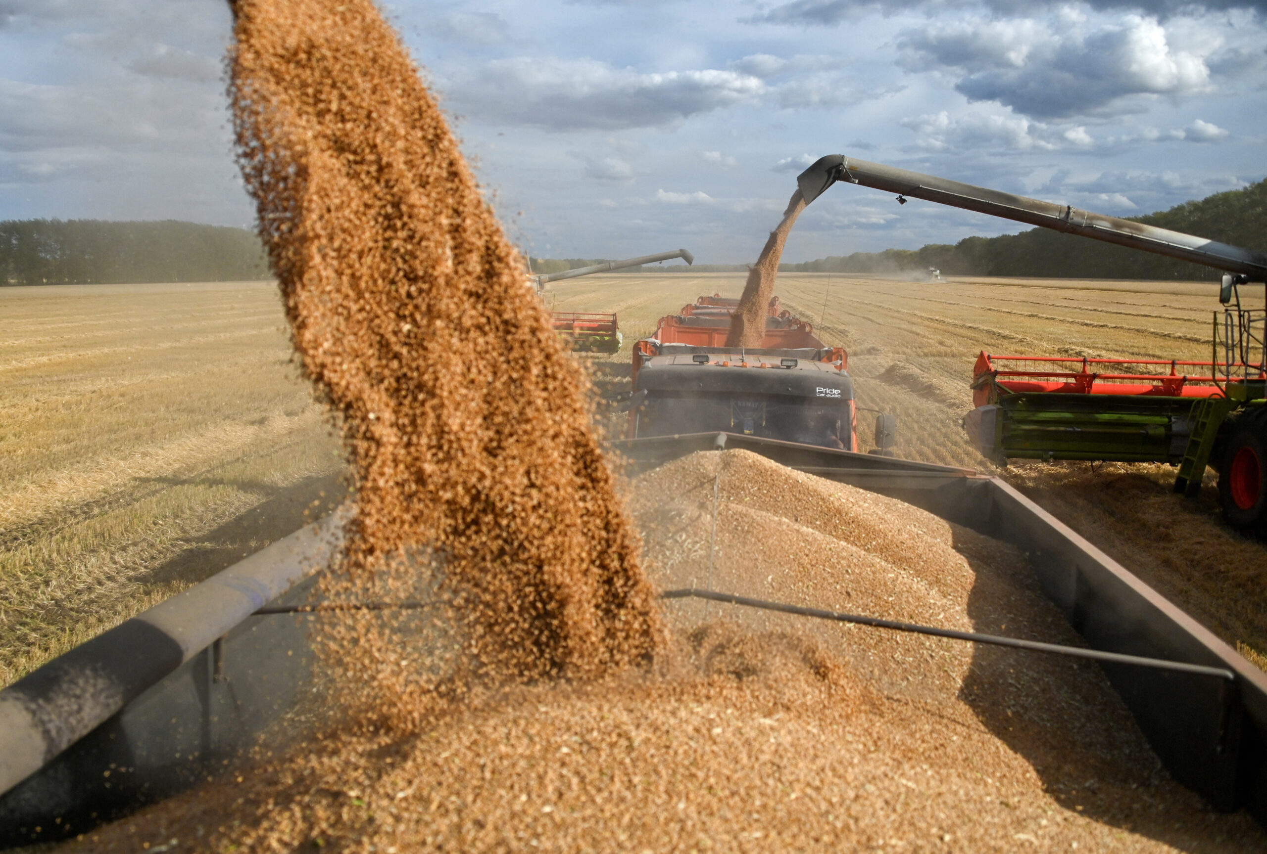 Чи погодиться ЄС накласти санкції на російське зерно: аналізує Іван Ус