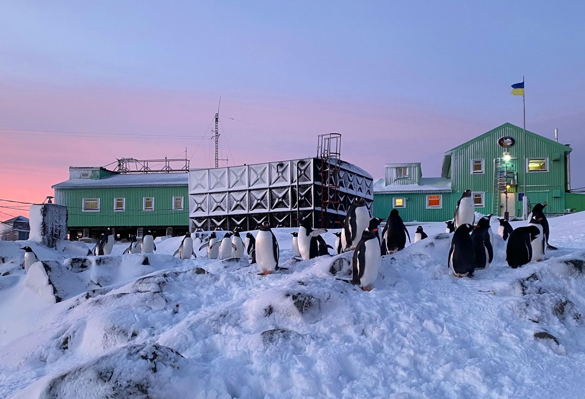 Антарктида — «холодильник», який впливає на клімат планети — керівник експедиції на «Академік Вернадський»