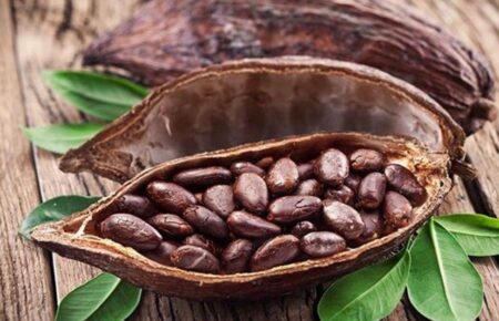 Подорожчання шоколаду й кави: чому зростають ціни на какао-боби