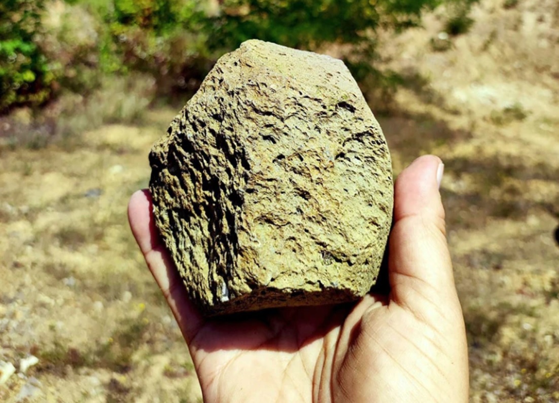 Учені визначили вік знайдених на Закарпатті камʼяних знарядь — їм 1,4 мільйона років