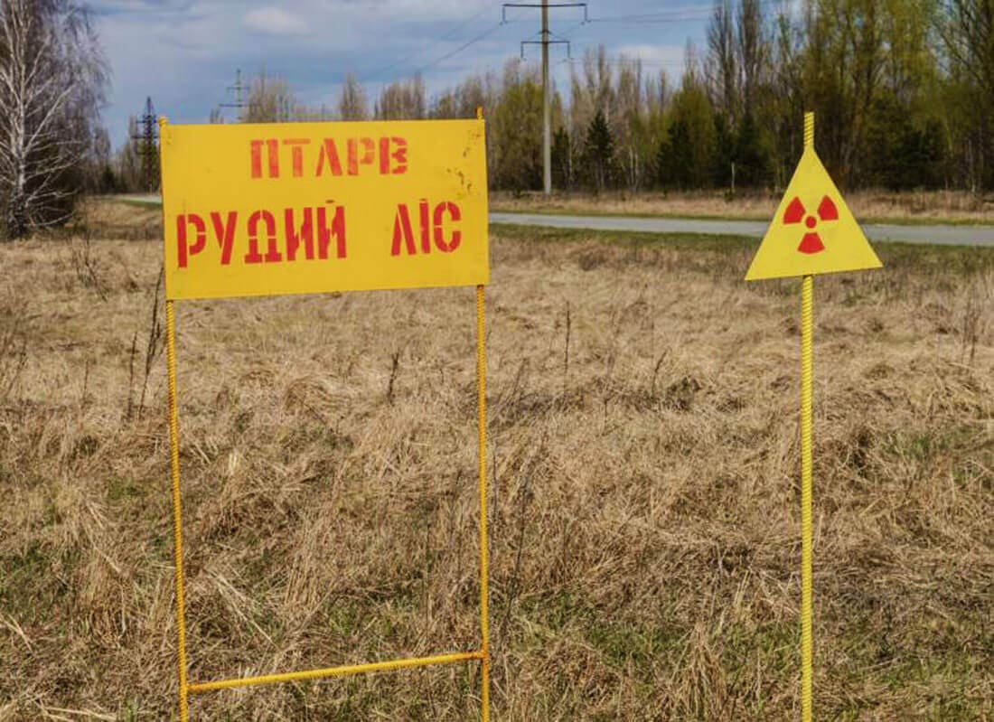 Чорнобильська зона — це не лише місце катастрофи, а й місце відродження: радіобіологиня